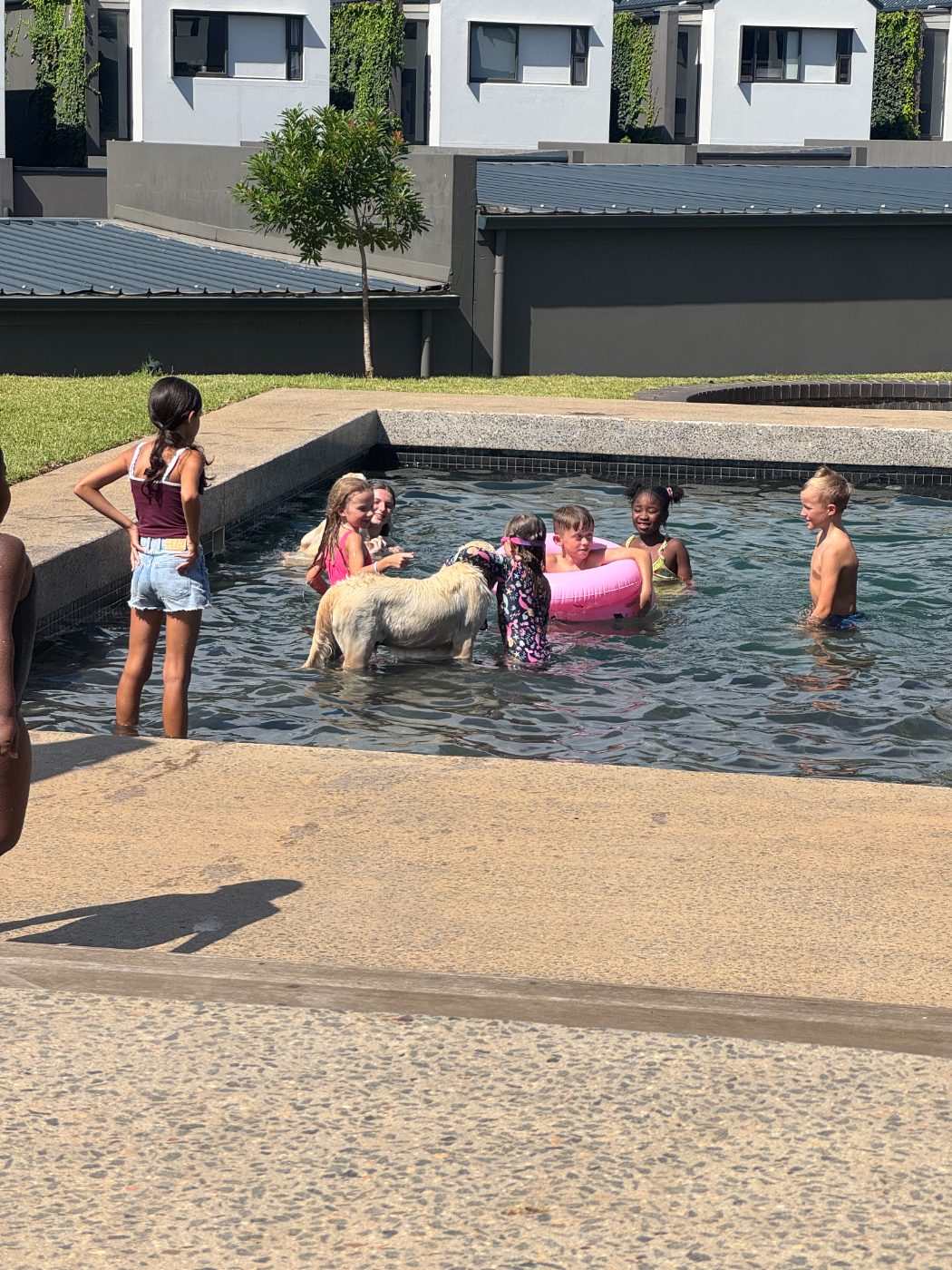 Kids and the dog playing in the pool