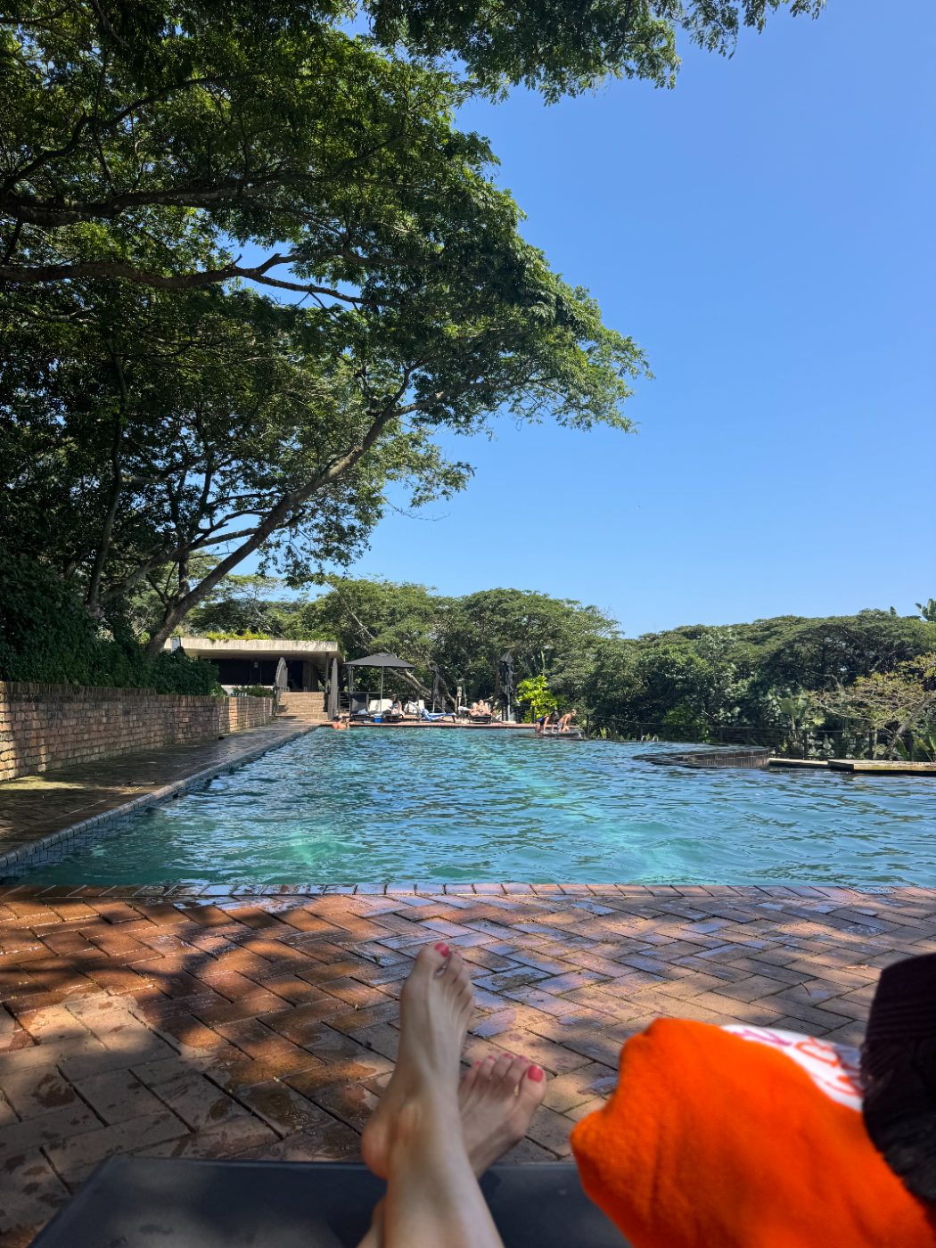 The estate pool under the trees