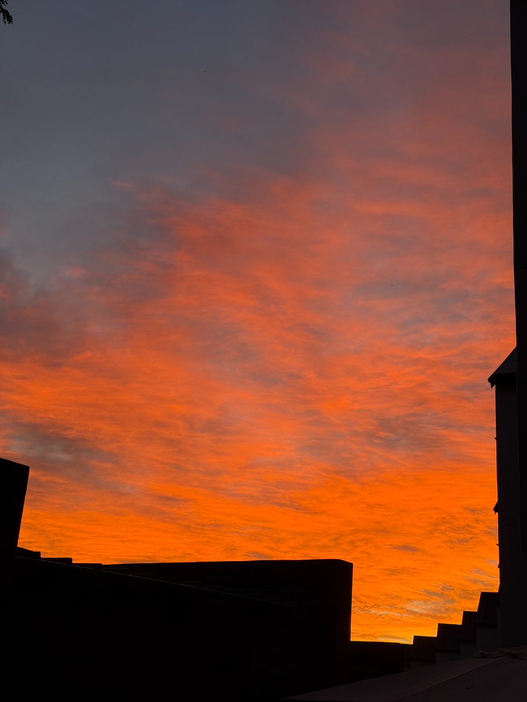 Sunset over the estate