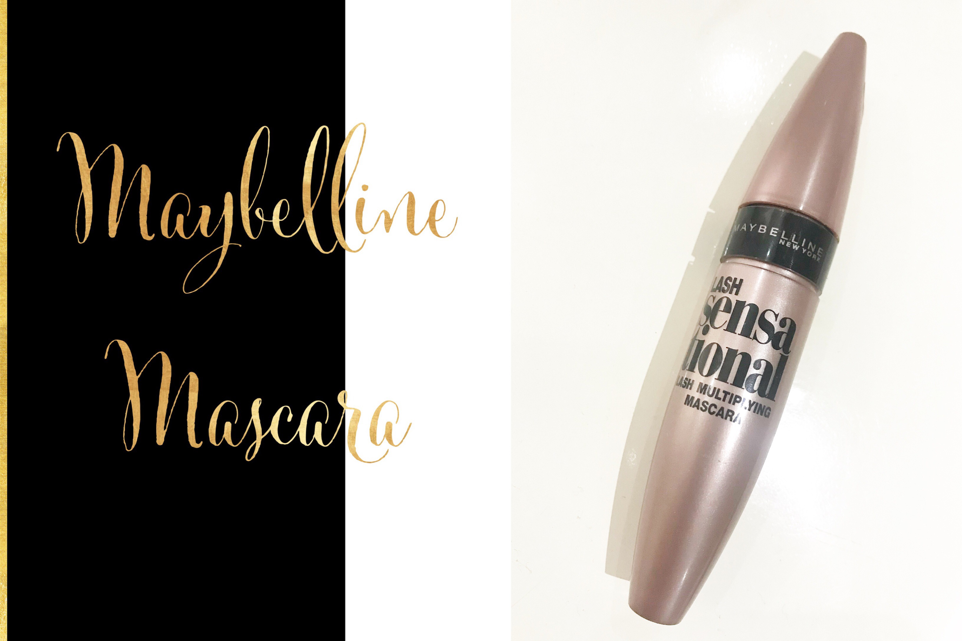 Processed with MOLDIV