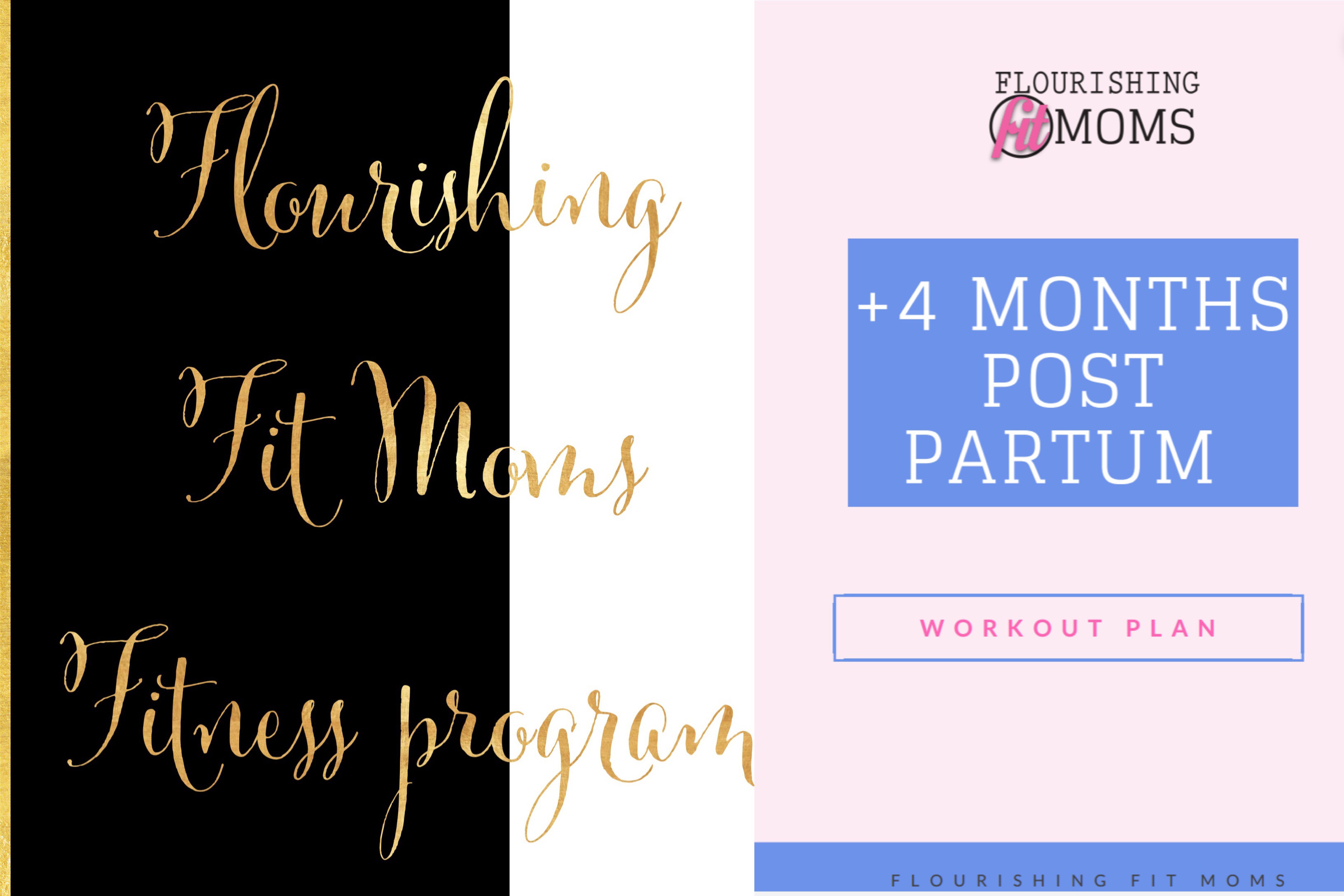 Processed with MOLDIV