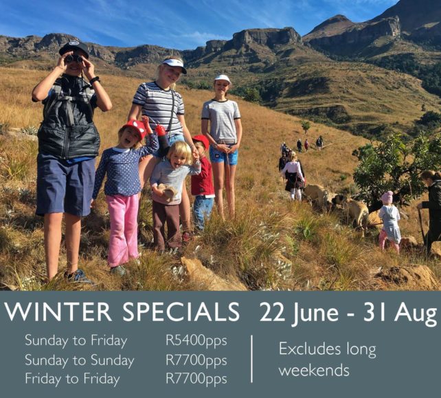 winter-5-night-7-night-special-2018-642x580